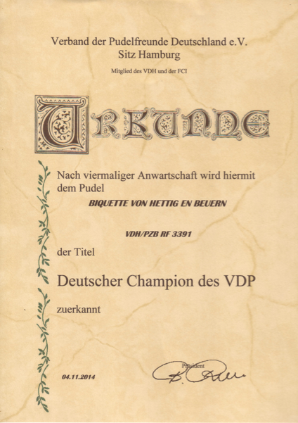 Biquette Urkunde VDH-CH
