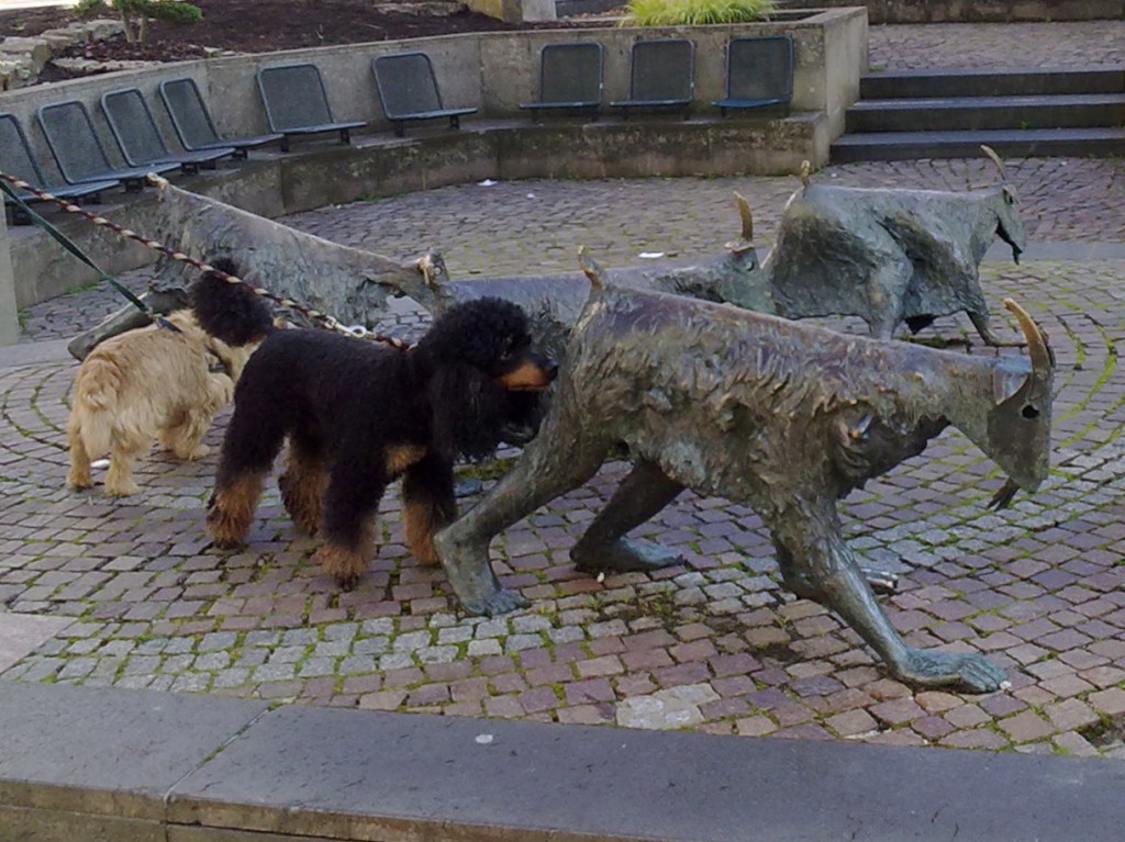 Mowgli und Ziege