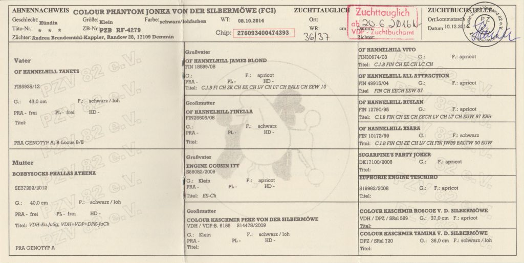 jonka-ahnentafel-ahnen-001-2