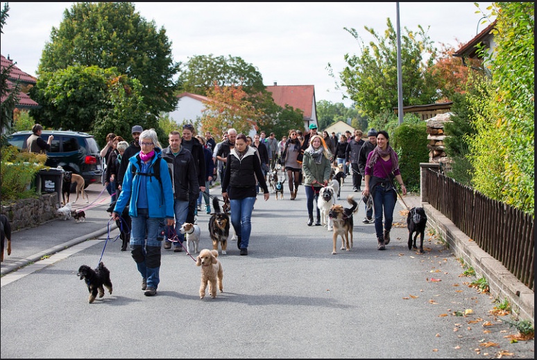 Bildschirmfoto 2015-09-28 um 20.40.03