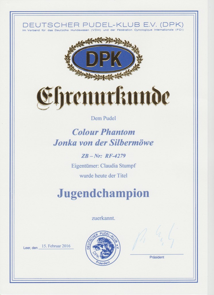 Jonka DPK JgCh 001